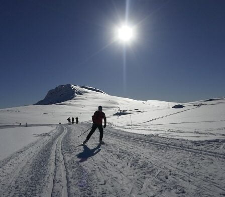 La moitié de la Norvège partira en vacances de Pâques 31 La moitié de la Norvège partira en vacances de Pâques - 30