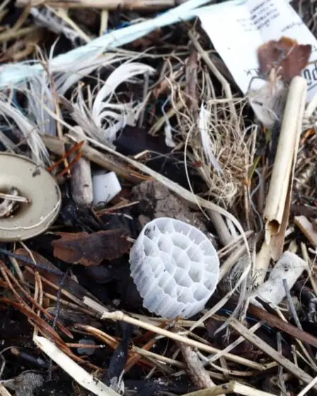 Un projet européen dirigé par la Norvège visant à réduire les déchets plastiques reçoit un financement de 2 millions d'euros - 16