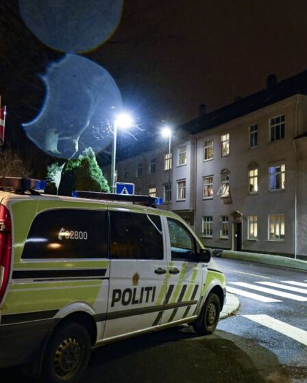 Tønsberg: plusieurs personnes blessées dans un incident violent, un homme d'Europe de l'Est hospitalisé - 30