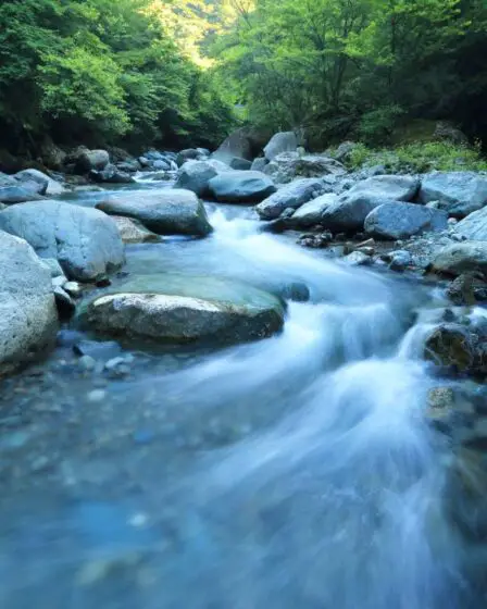 La Norvège réserve 21 millions de couronnes pour protéger les rivières et l'eau douce - 28