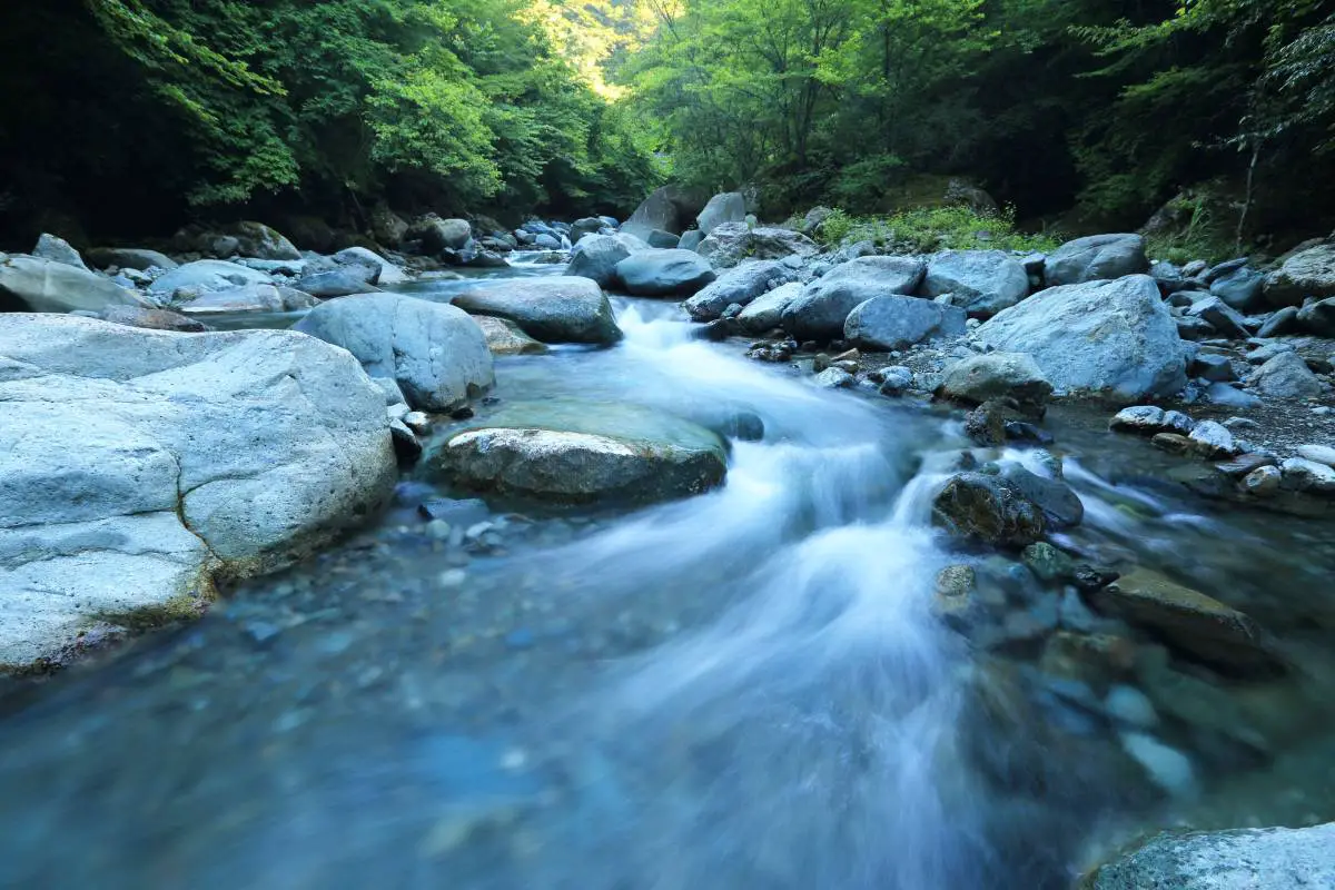 La Norvège réserve 21 millions de couronnes pour protéger les rivières et l'eau douce 4 La Norvège réserve 21 millions de couronnes pour protéger les rivières et l'eau douce - 3