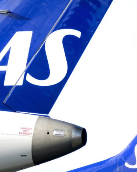 Le nombre de passagers SAS a baissé de 85% en janvier 5 Le nombre de passagers SAS a baissé de 85% en janvier - 4