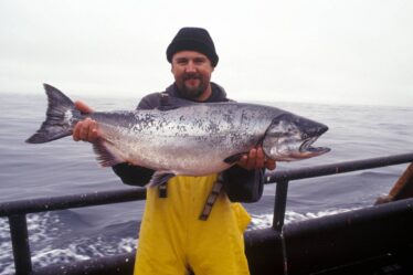 Nouvelles règles : à quoi ressemblera la pêche touristique en Norvège en 2021 ? - 21