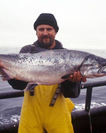 Nouvelles règles : à quoi ressemblera la pêche touristique en Norvège en 2021 ? - 16