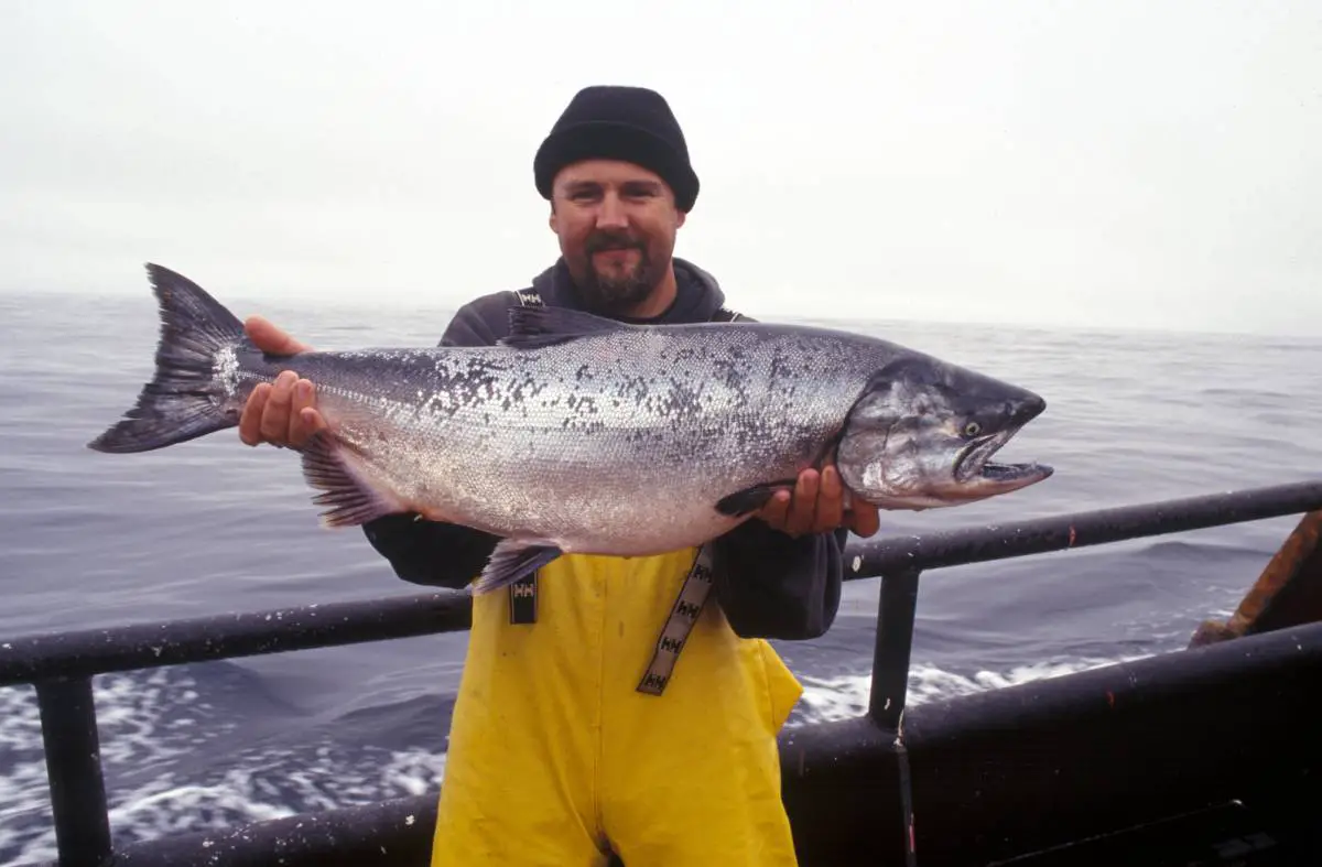 Nouvelles règles : à quoi ressemblera la pêche touristique en Norvège en 2021 ? - 3