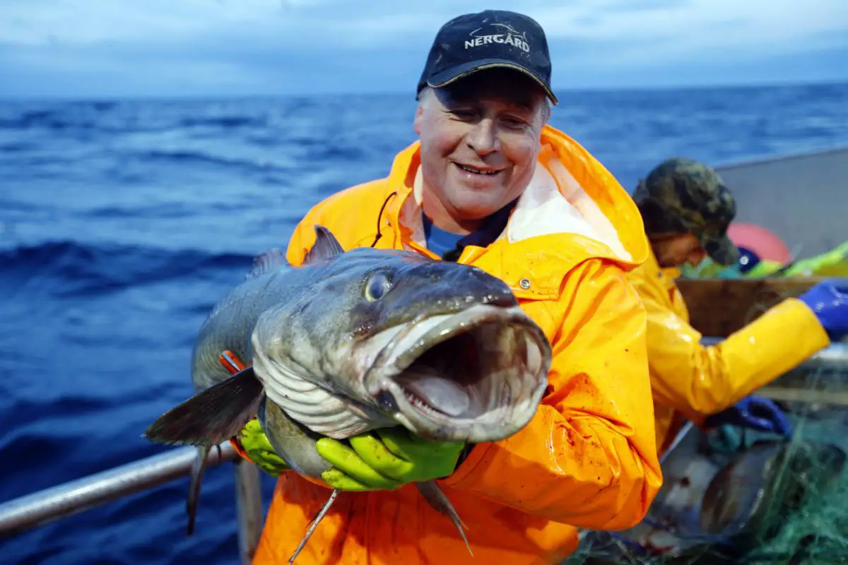 Un guide de la pêche en Norvège - 11