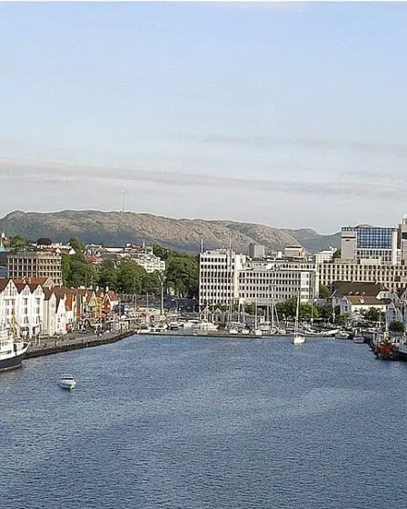 Petit frère 'Bergen - Norway Today 5 Petit frère 'Bergen - Norway Today - 4