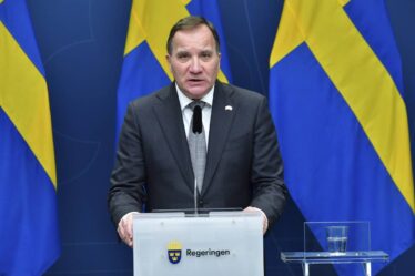 Le Premier ministre suédois Stefan Löfven : Il est irresponsable de plonger le pays dans une crise politique - 21