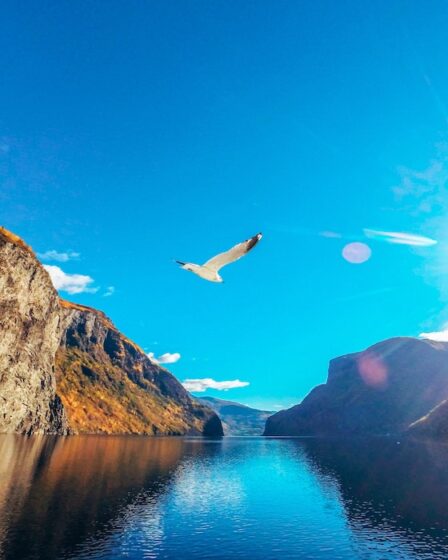Le soleil de minuit en Norvège: tout ce que vous devez savoir 2 Le soleil de minuit en Norvège: tout ce que vous devez savoir - 1
