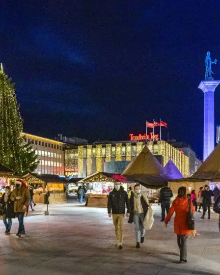 Les Norvégiens ont moins acheté en décembre 2020 2 Les Norvégiens ont moins acheté en décembre 2020 - 1