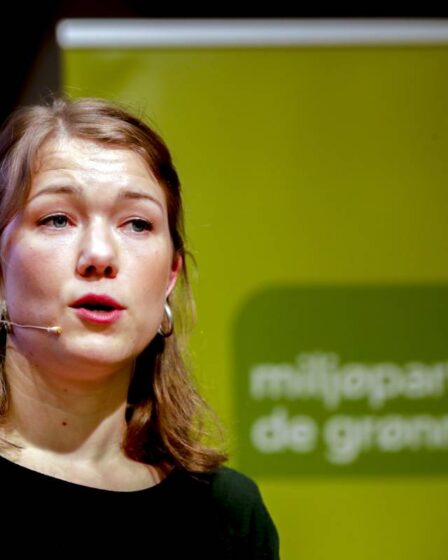 Le Parti vert norvégien veut augmenter les taxes et redevances de 32,5 milliards de couronnes - 30