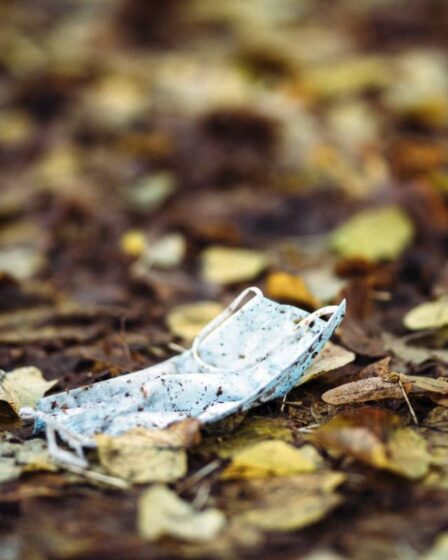 52 nouveaux cas corona enregistrés à Drammen 2 52 nouveaux cas corona enregistrés à Drammen - 1