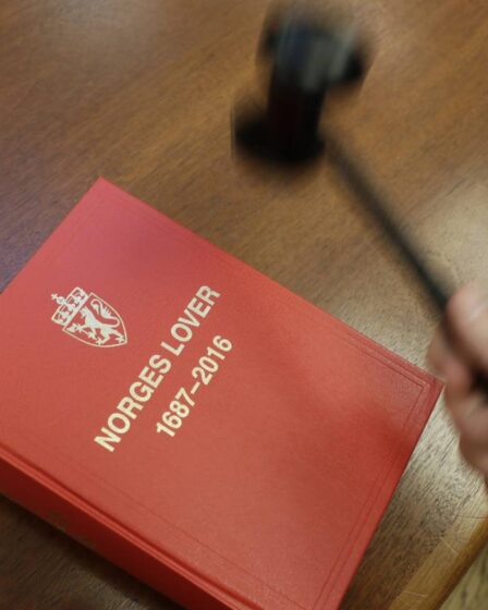 Viken: un homme de 76 ans condamné à douze ans de prison pour avoir abusé de neuf arrière-petits-enfants - 28