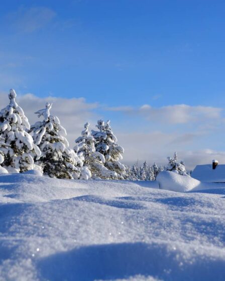 La peur de l'hiver se termine dans le sud de la Norvège 11 La peur de l'hiver se termine dans le sud de la Norvège - 10