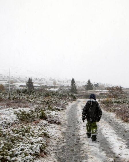 Un hiver rigoureux est prévu dans l'est de la Norvège au cours des prochains jours - 22