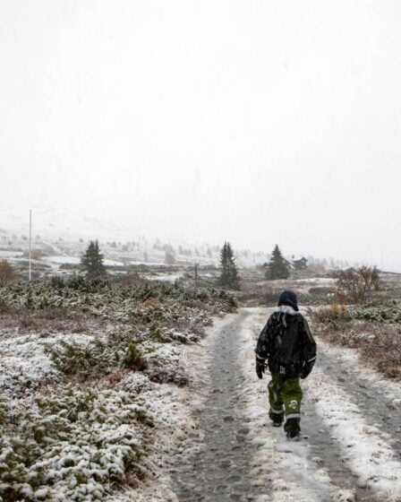 Un hiver rigoureux est prévu dans l'est de la Norvège au cours des prochains jours 8 Un hiver rigoureux est prévu dans l'est de la Norvège au cours des prochains jours - 7