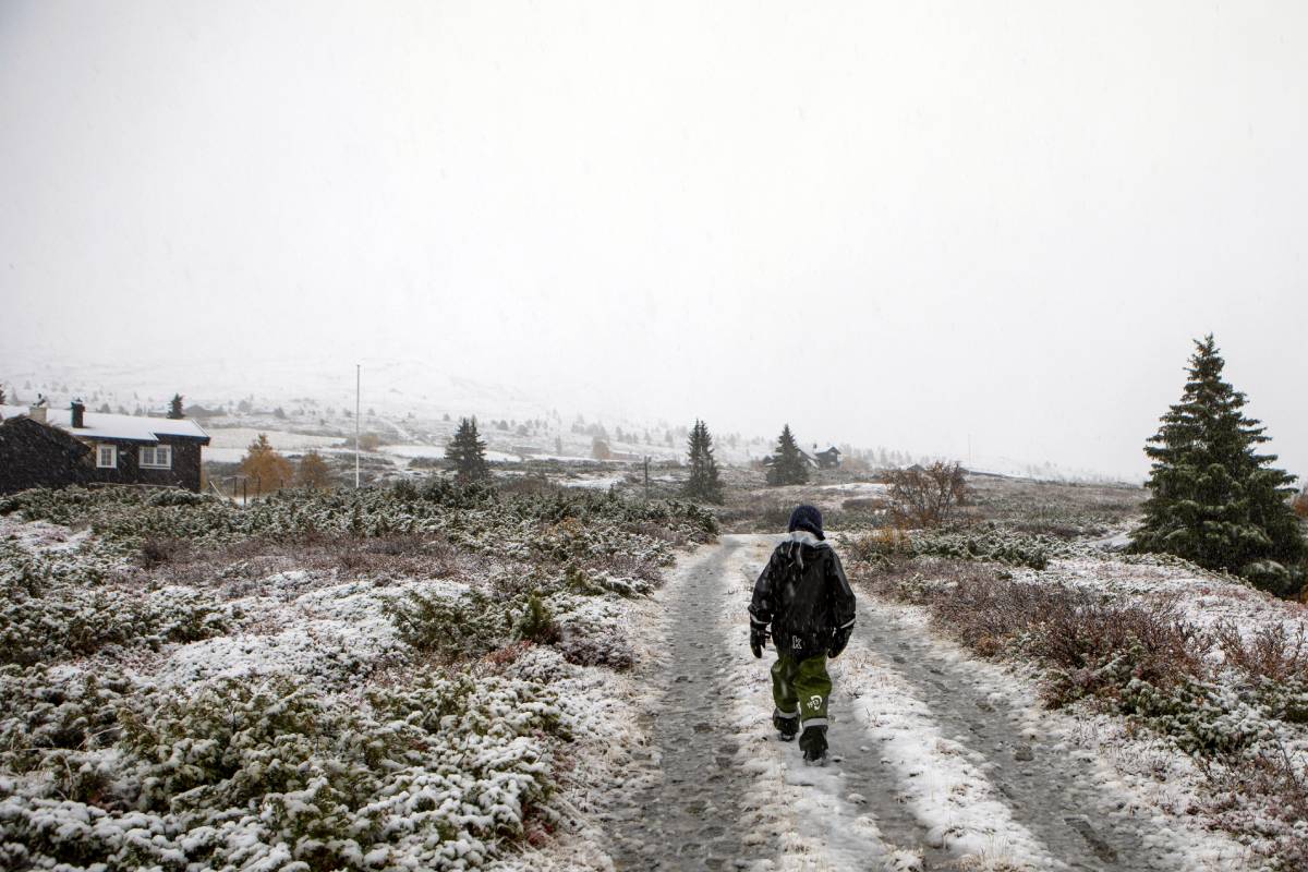 Un hiver rigoureux est prévu dans l'est de la Norvège au cours des prochains jours 4 Un hiver rigoureux est prévu dans l'est de la Norvège au cours des prochains jours - 3