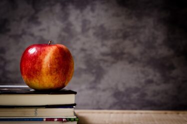 Plusieurs se sentent exclus à l'école - 16