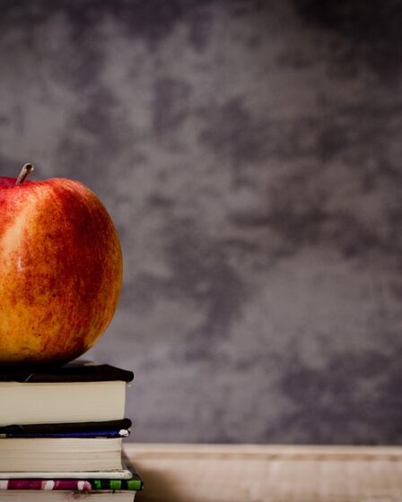 L'absence dans les écoles secondaires réduite d'un tiers 17 L'absence dans les écoles secondaires réduite d'un tiers - 16