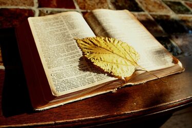 KrF Top défend la distribution de bibles aux enfants - Norway Today - 18