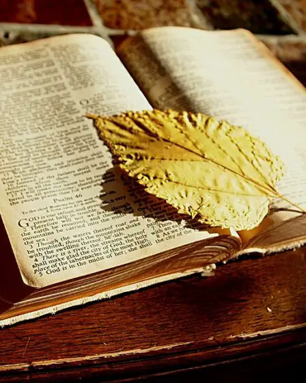 Un chrétien actif sur quatre pense qu'il est difficile d'être chrétien en Norvège 5 Un chrétien actif sur quatre pense qu'il est difficile d'être chrétien en Norvège - 4