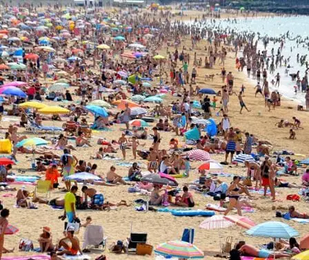 Nouveaux conseils de voyage - plus d'annulations - près de la moitié volera moins à l'avenir 2 Nouveaux conseils de voyage - plus d'annulations - près de la moitié volera moins à l'avenir - 1