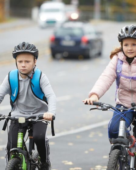 Route scolaire dangereuse: un enfant sur trois conduit à l'école 2 Route scolaire dangereuse: un enfant sur trois conduit à l'école - 1
