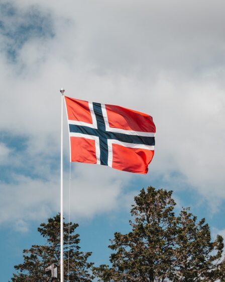 L'année dernière, 12 500 personnes ont déménagé en Norvège grâce à l'immigration familiale 14 L'année dernière, 12 500 personnes ont déménagé en Norvège grâce à l'immigration familiale - 13