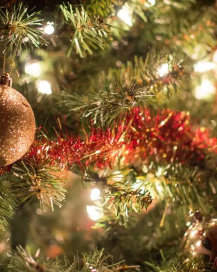 25 faits festifs sur le 25 décembre en Norvège 23 25 faits festifs sur le 25 décembre en Norvège - 22