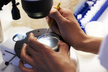 78 communautés universitaires norvégiennes feront des recherches sur le coronavirus - 16
