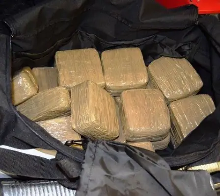 Action majeure des médicaments contre les plantes de cannabis 8 Action majeure des médicaments contre les plantes de cannabis - 7