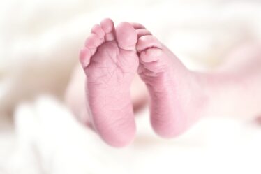 Une chercheuse ne pense pas que les femmes norvégiennes satisferont le désir de Solberg d'avoir plus d'enfants - 6