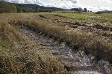 Un été pluvieux destructeur pour les agriculteurs de l'Ouest - 20