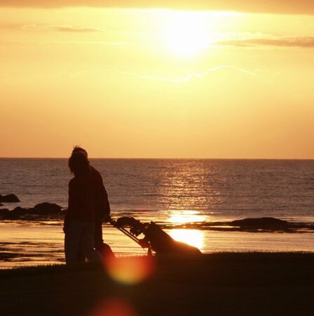 Midnightsun dans les Lofoten - Norway Today 8 Midnightsun dans les Lofoten - Norway Today - 7