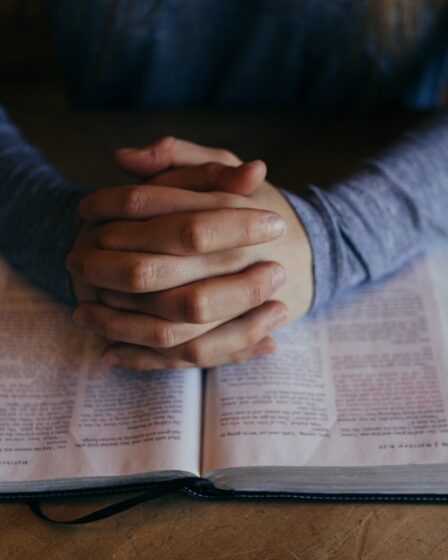 Plus de 10000 enseignants ont postulé pour une formation continue 23 Plus de 10000 enseignants ont postulé pour une formation continue - 22