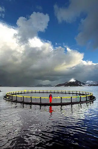 Une ferme piscicole le long de la côte norvégienne.  Photo: CreativeCommons