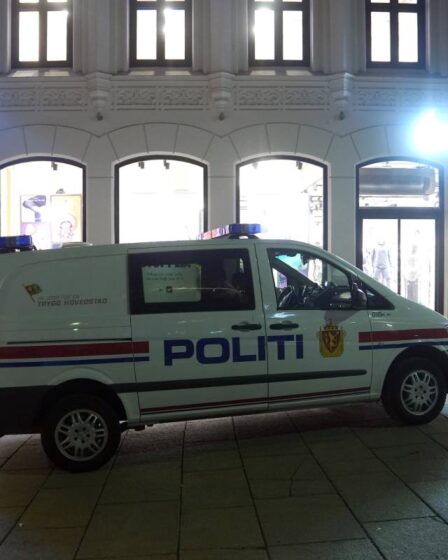 Les trois hommes arrêtés vendredi après un incident violent à la porte Karl Johans à Oslo ont été libérés 11 Les trois hommes arrêtés vendredi après un incident violent à la porte Karl Johans à Oslo ont été libérés - 10