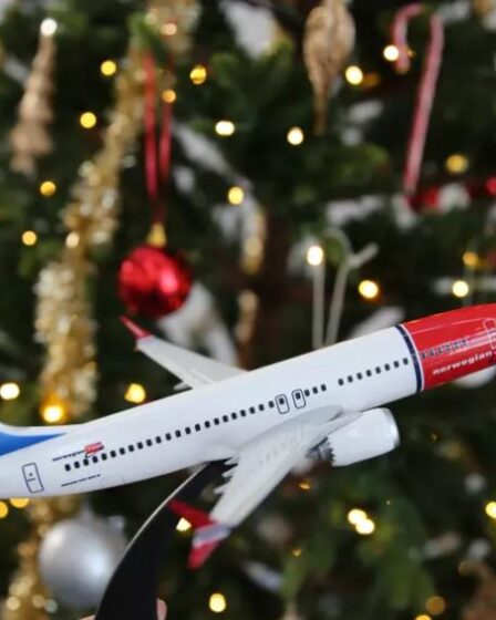 Norwegian augmente son personnel pour la période chargée de Noël 29 Norwegian augmente son personnel pour la période chargée de Noël - 28