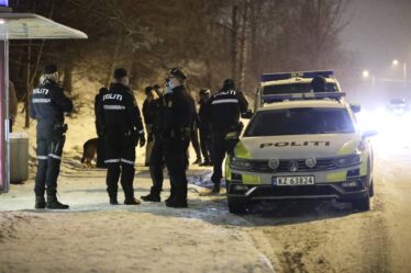 PHOTO: un garçon de 13 ans poignardé à Oslo, un suspect appréhendé par la police - 20