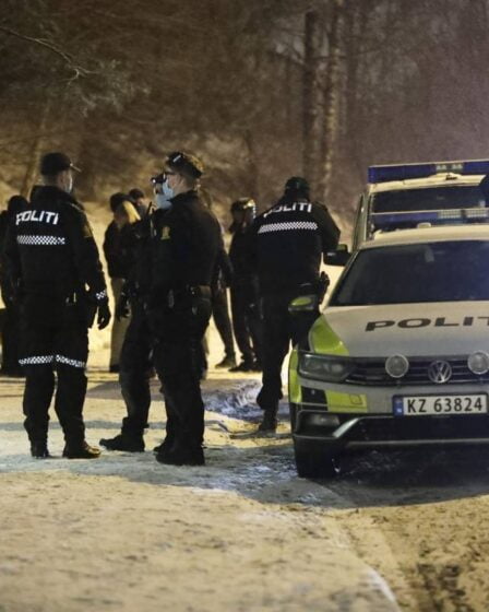 PHOTO: un garçon de 13 ans poignardé à Oslo, un suspect appréhendé par la police 17 PHOTO: un garçon de 13 ans poignardé à Oslo, un suspect appréhendé par la police - 16