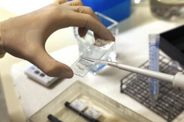 24 millions de NOK pour la recherche sur le cancer du sein - 20