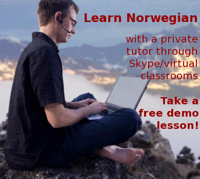 Apprendre le norvégien - Cours individuels de norvégien en ligne en direct 4 Apprendre le norvégien - Cours individuels de norvégien en ligne en direct - 3