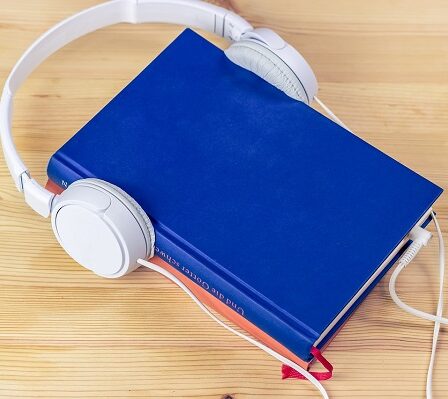 `` Audio Porn '' atteint le toit du service de streaming 25 `` Audio Porn '' atteint le toit du service de streaming - 24