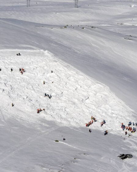 Un chasseur retrouvé mort sur un site d'avalanche à Trondheim 11 Un chasseur retrouvé mort sur un site d'avalanche à Trondheim - 10