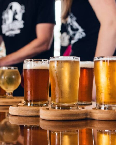Expert: le ministre norvégien de la Santé devrait réintroduire l'interdiction nationale de l'alcool - mais avec des concessions locales - 4