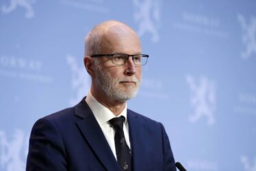 Chef de la direction de la santé: les choses s'amélioreront en Norvège dans 100 à 150 jours - 16
