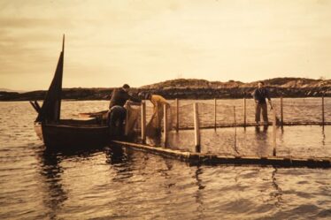 Célébrer 50 ans d'aquaculture moderne - 18