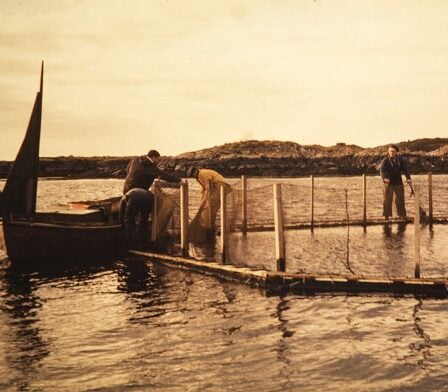 Célébrer 50 ans d'aquaculture moderne 2 Célébrer 50 ans d'aquaculture moderne - 1