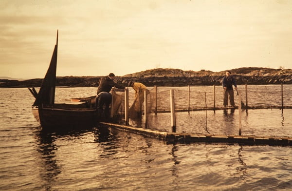 Célébrer 50 ans d'aquaculture moderne 4 Célébrer 50 ans d'aquaculture moderne - 3