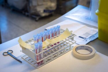 Plus de la moitié des échantillons analysés en Norvège en février ont confirmé la variante britannique du coronavirus - 20